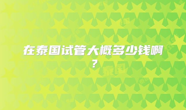在泰国试管大概多少钱啊？