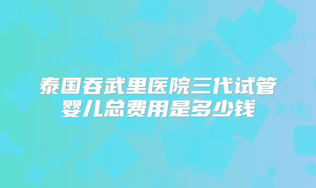 泰国吞武里医院三代试管婴儿总费用是多少钱