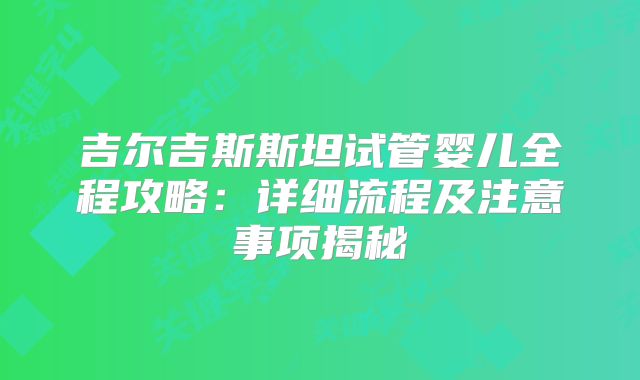 吉尔吉斯斯坦试管婴儿全程攻略：详细流程及注意事项揭秘
