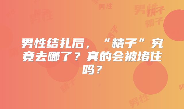 男性结扎后，“精子”究竟去哪了？真的会被堵住吗？
