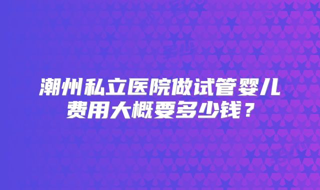 潮州私立医院做试管婴儿费用大概要多少钱？
