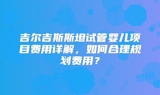 吉尔吉斯斯坦试管婴儿项目费用详解，如何合理规划费用？
