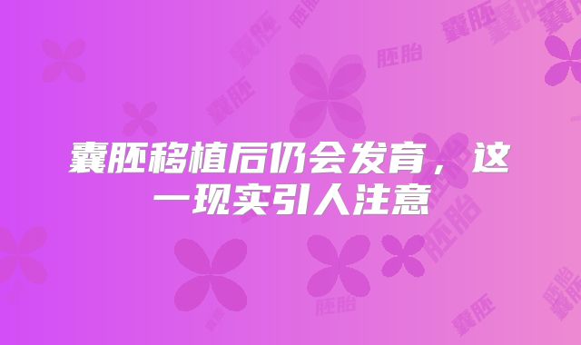 囊胚移植后仍会发育，这一现实引人注意