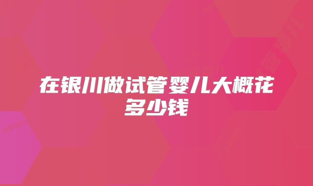 在银川做试管婴儿大概花多少钱