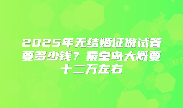 2025年无结婚证做试管要多少钱?秦皇岛大概要十二万左右
