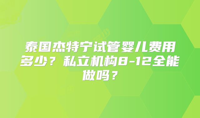 泰国杰特宁试管婴儿费用多少?私立机构8-12全能做吗?