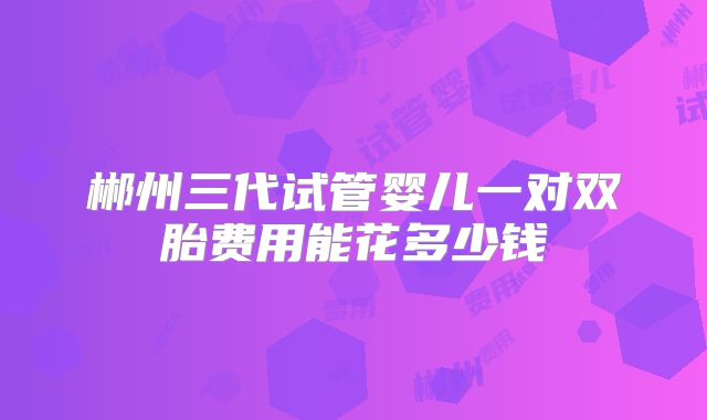 郴州三代试管婴儿一对双胎费用能花多少钱