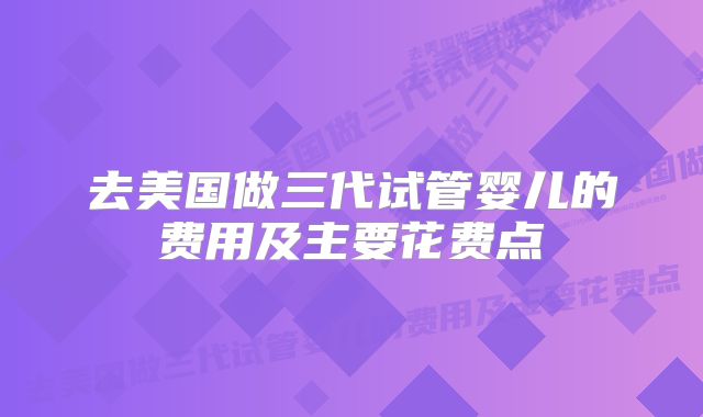 去美国做三代试管婴儿的费用及主要花费点