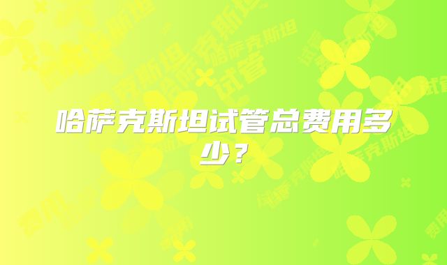 哈萨克斯坦试管总费用多少？