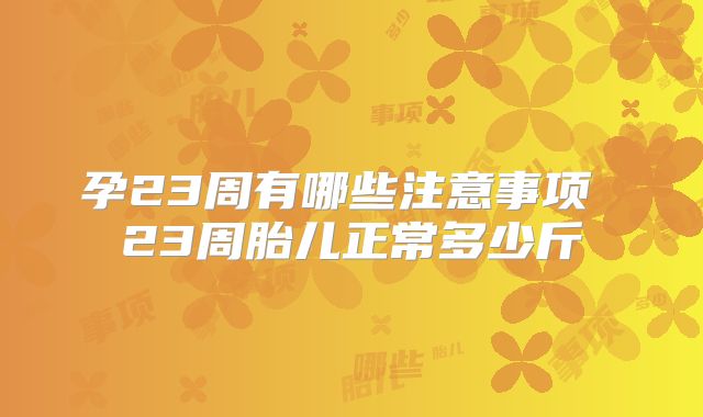 孕23周有哪些注意事项 23周胎儿正常多少斤