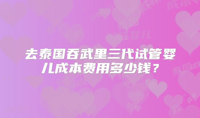 去泰国吞武里三代试管婴儿成本费用多少钱?