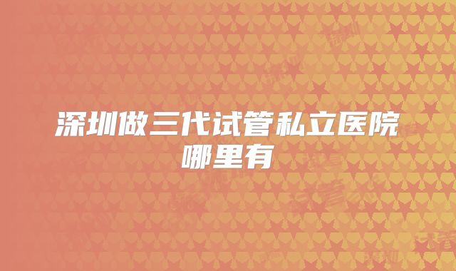 深圳做三代试管私立医院哪里有