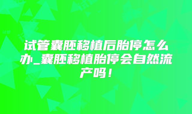 试管囊胚移植后胎停怎么办_囊胚移植胎停会自然流产吗！