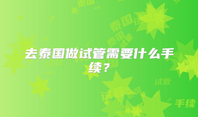 去泰国做试管需要什么手续？