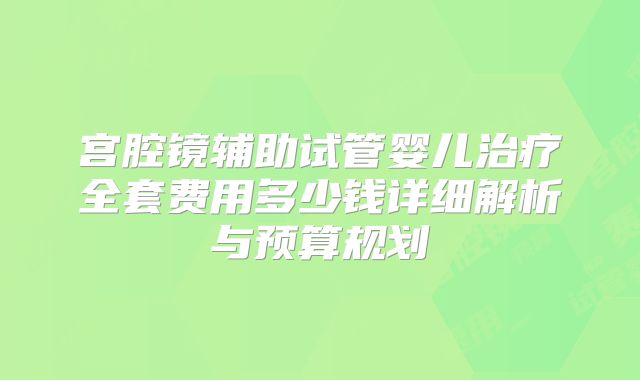 宫腔镜辅助试管婴儿治疗全套费用多少钱详细解析与预算规划