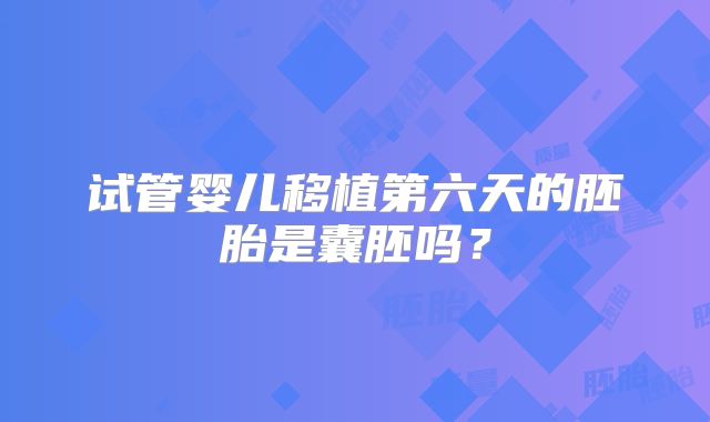 试管婴儿移植第六天的胚胎是囊胚吗？