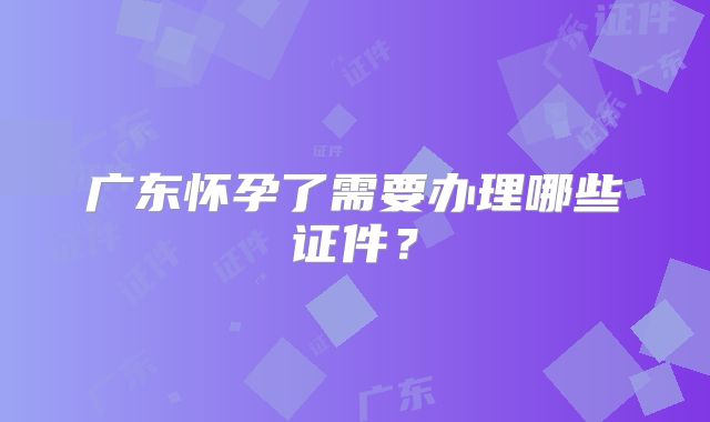 广东怀孕了需要办理哪些证件?