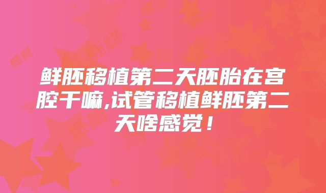 鲜胚移植第二天胚胎在宫腔干嘛,试管移植鲜胚第二天啥感觉！