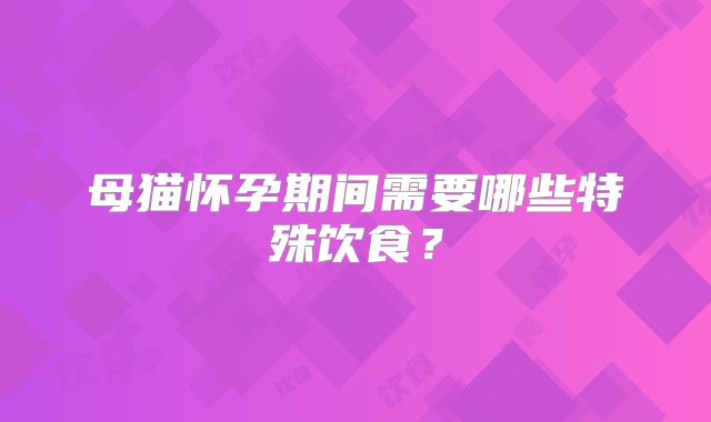 母猫怀孕期间需要哪些特殊饮食？
