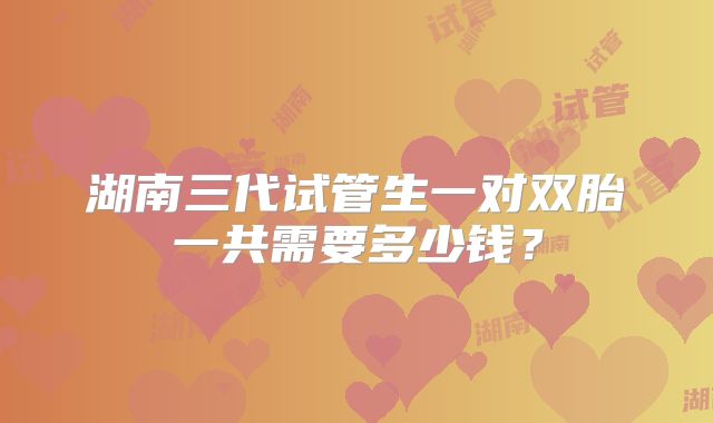 湖南三代试管生一对双胎一共需要多少钱？