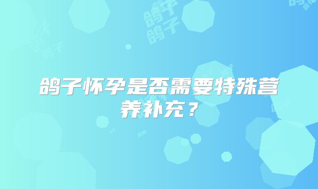 鸽子怀孕是否需要特殊营养补充？