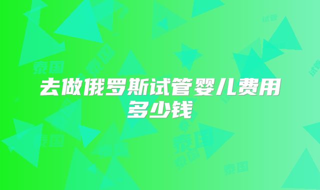 去做俄罗斯试管婴儿费用多少钱