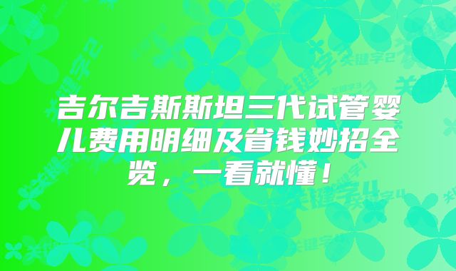 吉尔吉斯斯坦三代试管婴儿费用明细及省钱妙招全览，一看就懂！