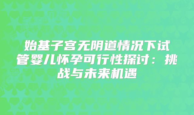 始基子宫无阴道情况下试管婴儿怀孕可行性探讨:挑战与未来机遇