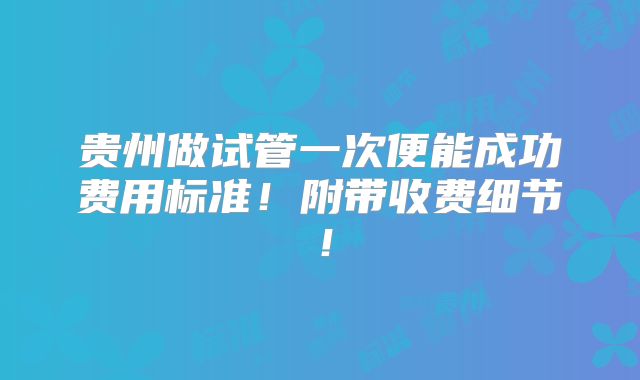 贵州做试管一次便能成功费用标准！附带收费细节！