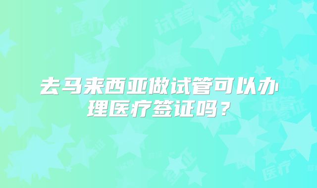 去马来西亚做试管可以办理医疗签证吗？