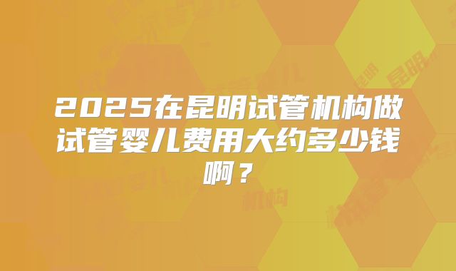 2025在昆明试管机构做试管婴儿费用大约多少钱啊?
