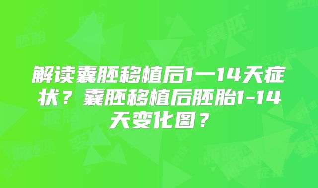 解读囊胚移植后1一14天症状？囊胚移植后胚胎1-14天变化图？