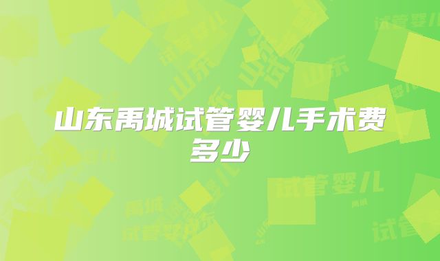 山东禹城试管婴儿手术费多少