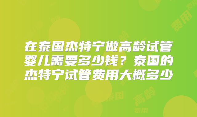 在泰国杰特宁做高龄试管婴儿需要多少钱?泰国的杰特宁试管费用大概多少