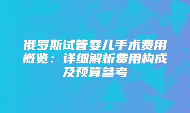 俄罗斯试管婴儿手术费用概览：详细解析费用构成及预算参考