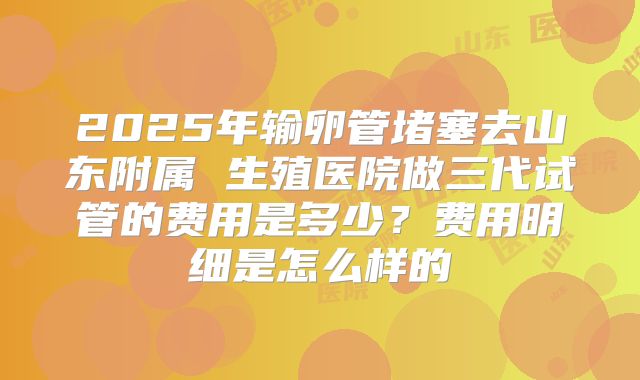 2025年输卵管堵塞去山东附属 生殖医院做三代试管的费用是多少？费用明细是怎么样的