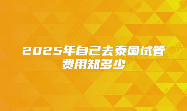 2025年自己去泰国试管费用知多少
