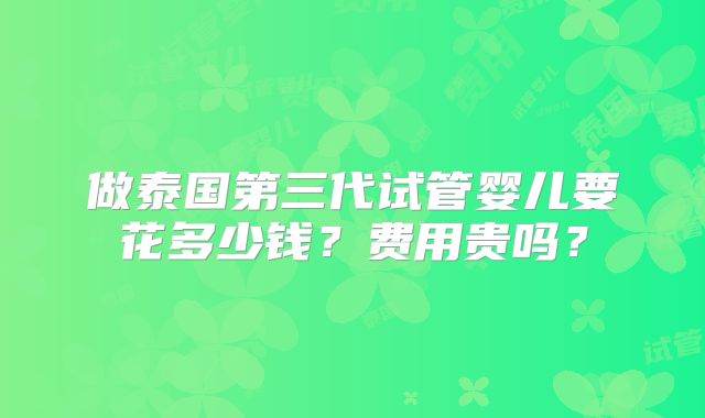 做泰国第三代试管婴儿要花多少钱？费用贵吗？