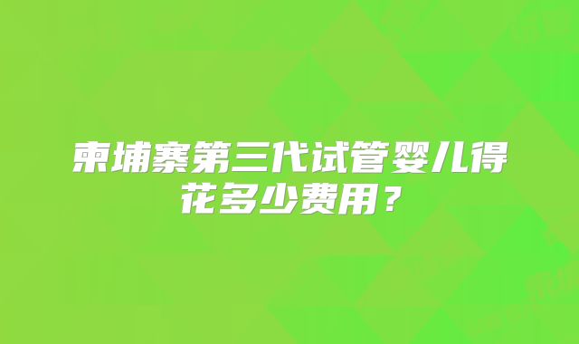 柬埔寨第三代试管婴儿得花多少费用?