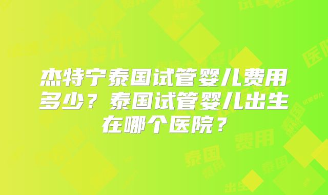 杰特宁泰国试管婴儿费用多少？泰国试管婴儿出生在哪个医院？