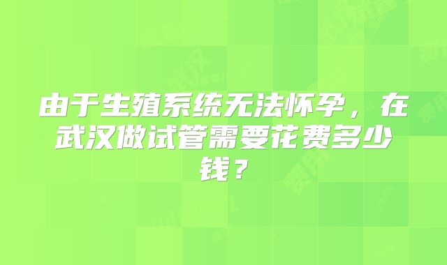 由于生殖系统无法怀孕，在武汉做试管需要花费多少钱？
