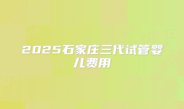2025石家庄三代试管婴儿费用