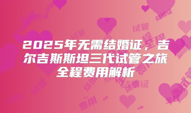 2025年无需结婚证，吉尔吉斯斯坦三代试管之旅全程费用解析
