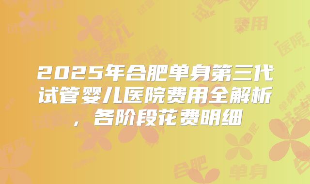 2025年合肥单身第三代试管婴儿医院费用全解析，各阶段花费明细