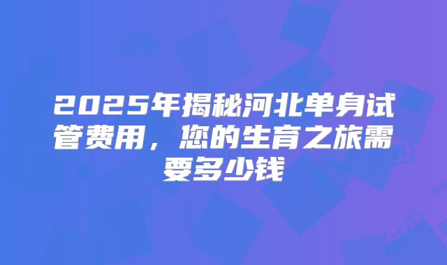 2025年揭秘河北单身试管费用,您的生育之旅需要多少钱