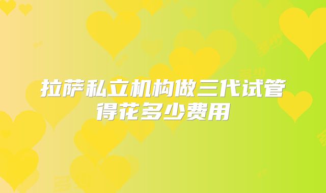 拉萨私立机构做三代试管得花多少费用