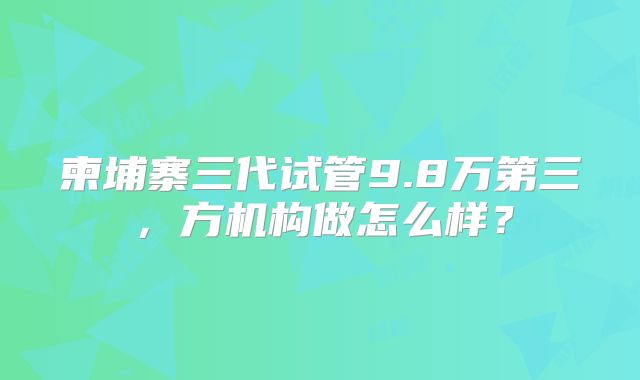 柬埔寨三代试管9.8万第三，方机构做怎么样？