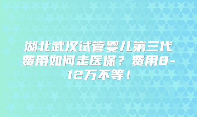 湖北武汉试管婴儿第三代费用如何走医保？费用8-12万不等！