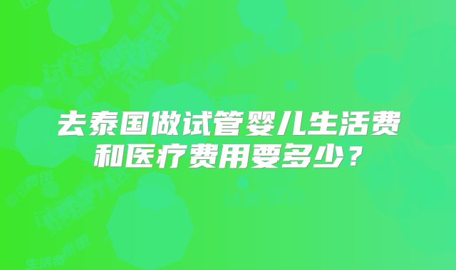 去泰国做试管婴儿生活费和医疗费用要多少？