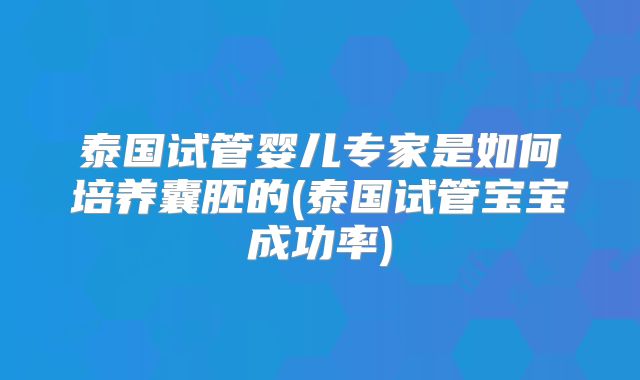 泰国试管婴儿专家是如何培养囊胚的(泰国试管宝宝成功率)